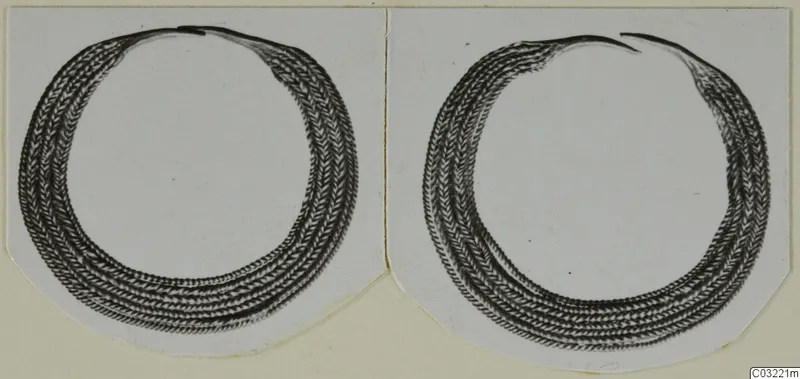 Two ring-shaped objects with herringbone-patterned bands, shown side by side on a pale card mount
