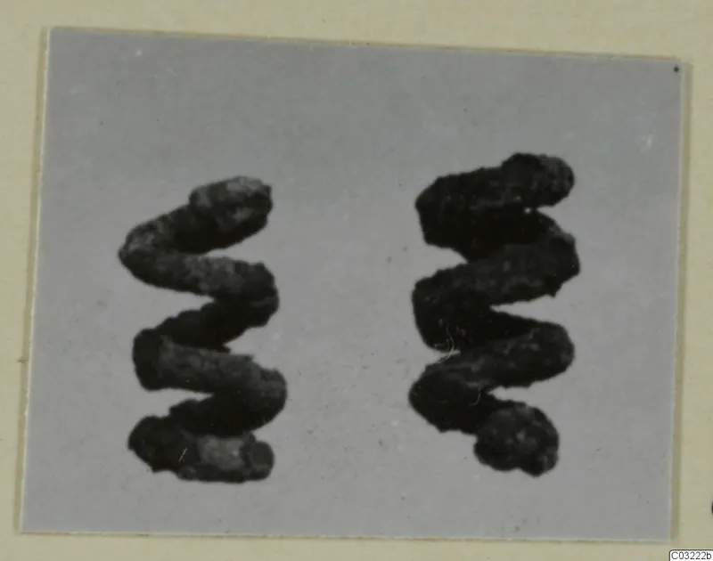Two corroded metal objects, each a zigzag coil, shown side by side on a grey card.