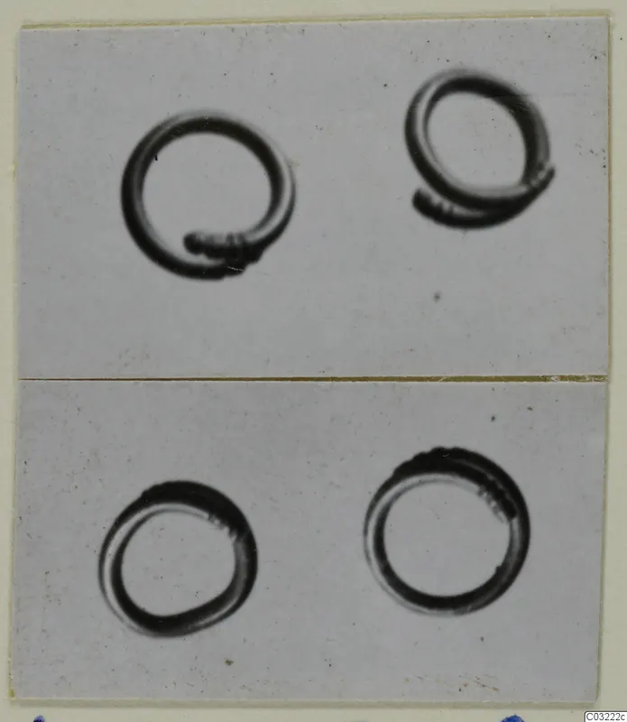 Four gold rings photographed in two panels, each with overlapping or coiled ends.