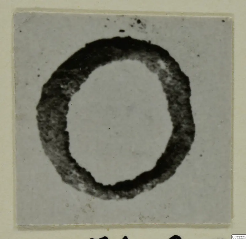 Dark ring-shaped object from Marion Tomb 60, photographed on a grey card mount