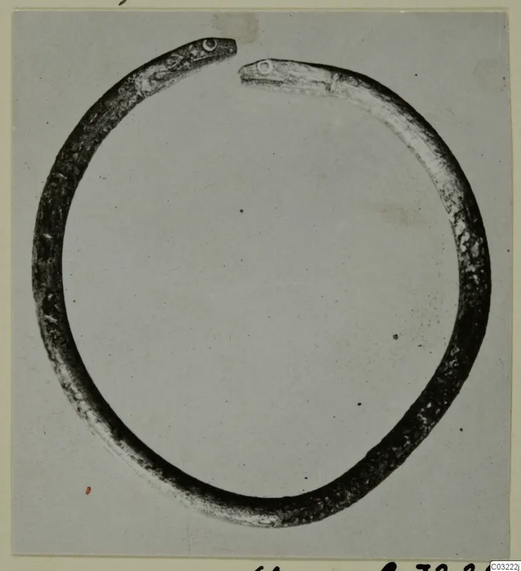 Ring-shaped object with a snake head at each end, from Marion Tomb 60