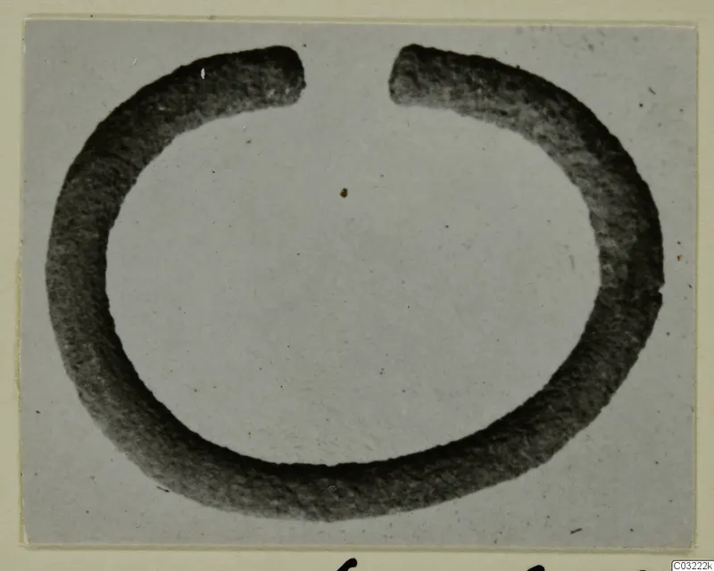 Open ring-shaped object from Marion Tomb 60, shown large against a pale grey background