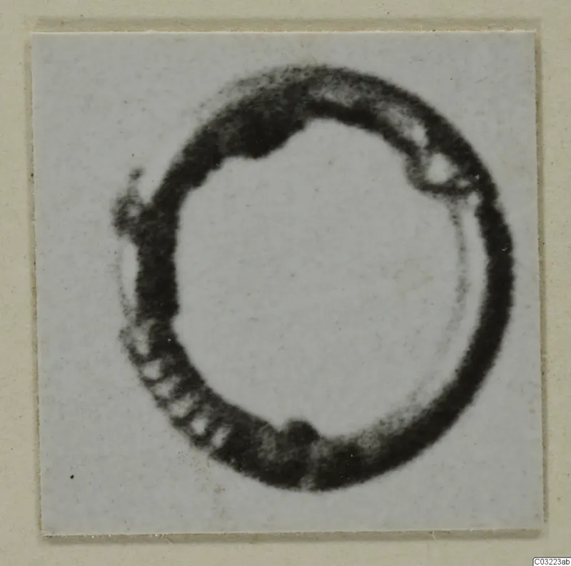 Ring from Marion, a dark circular object photographed close up on a pale mounted card