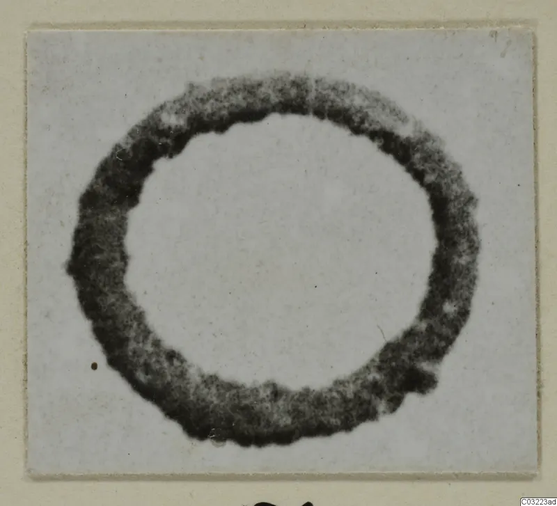 Ring from Marion, a thick dark circular band photographed flat against a pale background
