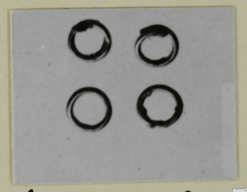 Four ring-shaped bronze personal adornments arranged in two rows on a pale grey ground