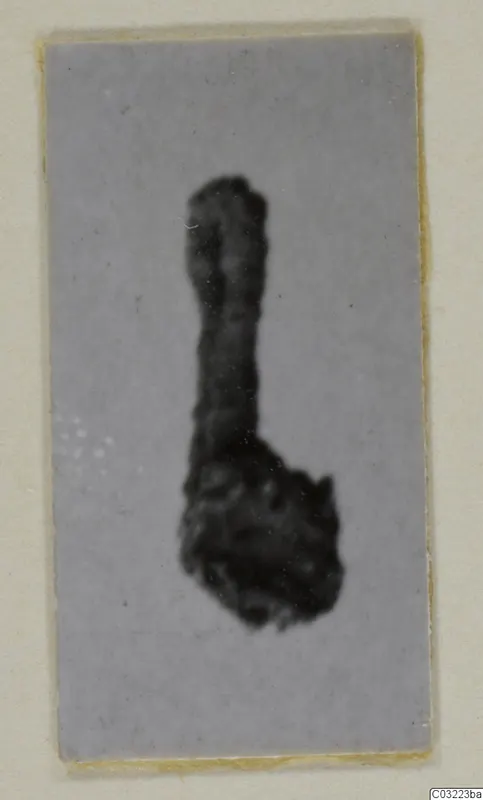 Blurred photograph of a silver pendant lying on a grey card
