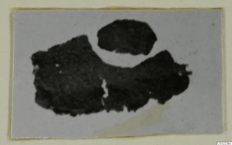 Three dark, irregular fragments recorded as silver, shown on a pale ground within a card mount