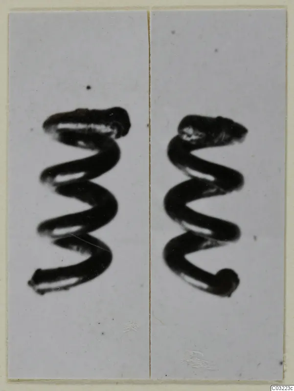 Two spiral coils of thick wire, shown side by side on pale panels of a card mount