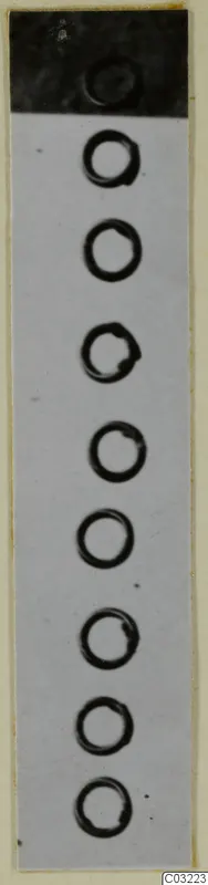Vertical row of about eight bronze rings on a pale ground, with a dark band across the top
