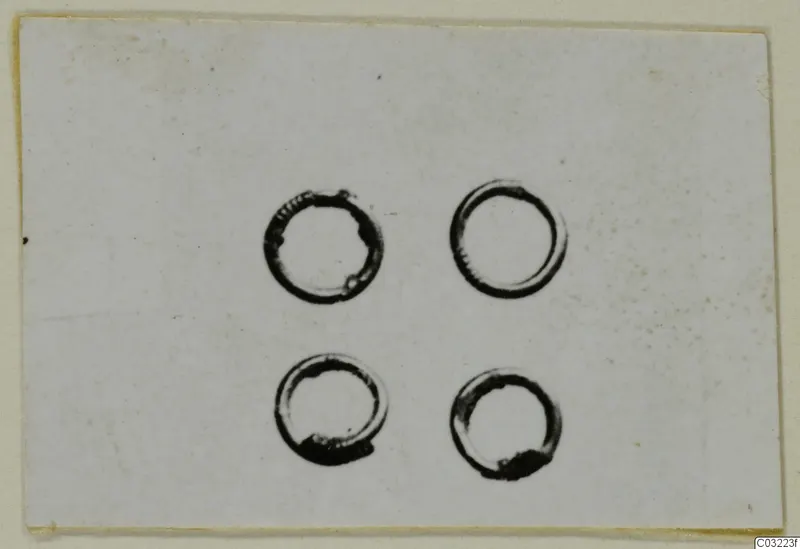 Four small rings photographed on a pale card, from Marion tombs 31-60