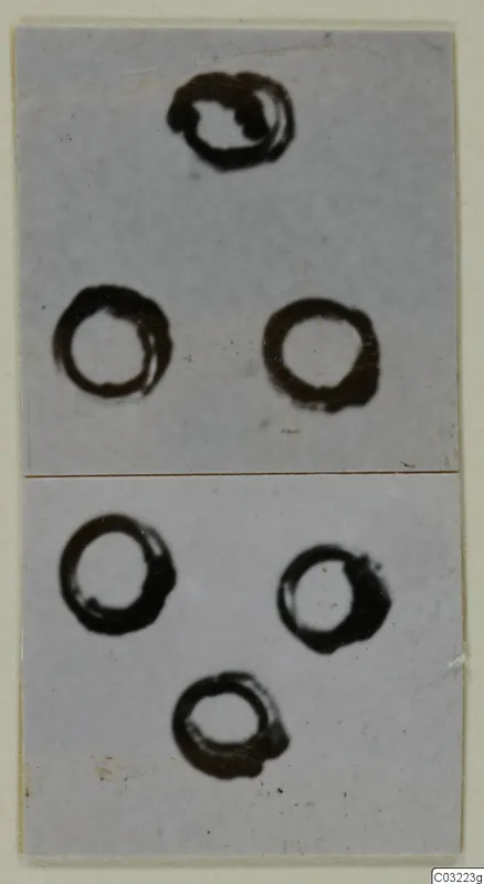Two photographs on one card showing several gold rings against a pale background, arranged in two groups.