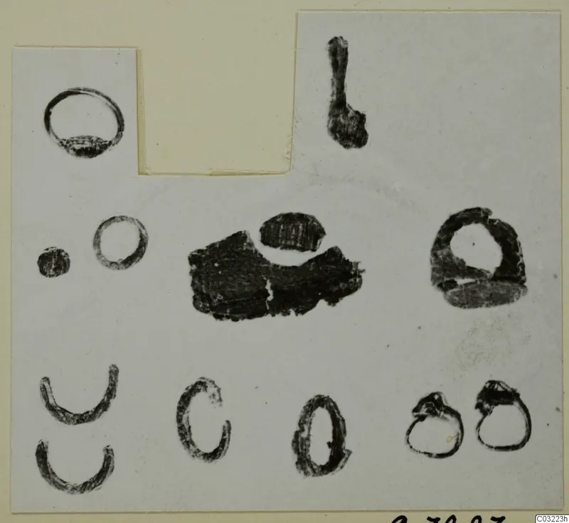 Corroded metal rings, hoops and a pin from Marion, arranged on a white card mount