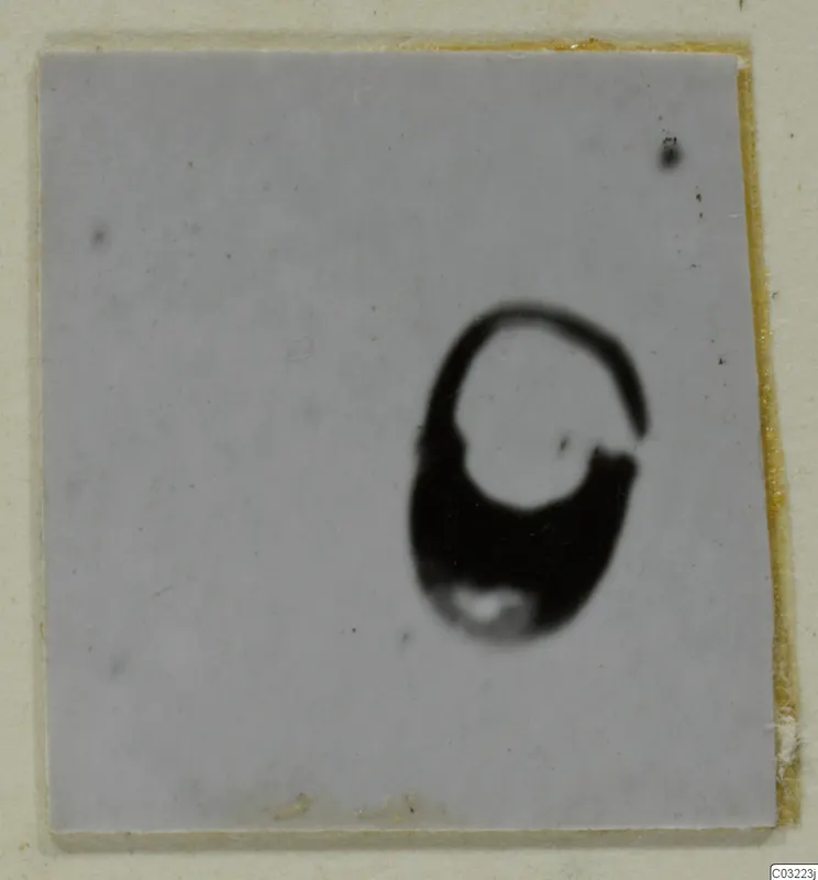 Blurred photograph of a dark, ring-shaped object on a pale square mount