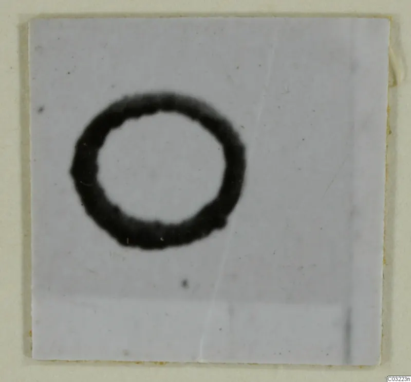 Blurred dark ring-shaped object on a pale square ground, labelled as a silver find from Marion, M. 44