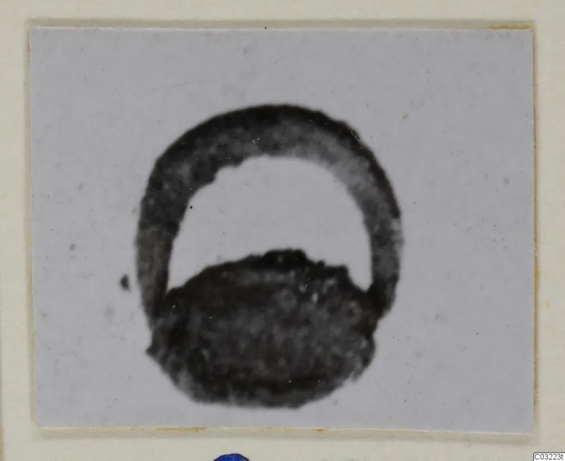 Small photograph of a dark, blurred silver object with a ring-like loop and a rounded mass below
