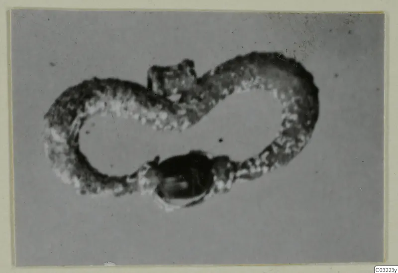 Silver loop-shaped object curving into a figure-eight, with a dark bead-like element at the lower end.