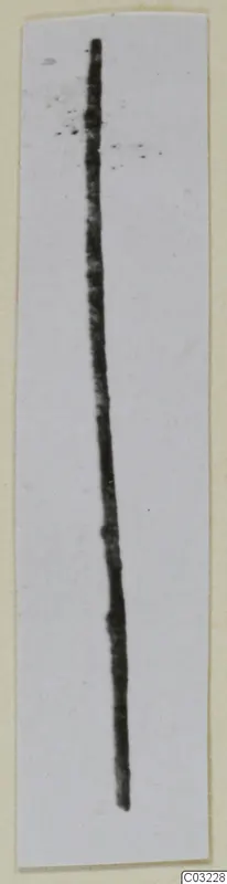 Long thin dark metal object, possibly a pin or wire, shown lying on a narrow pale card strip
