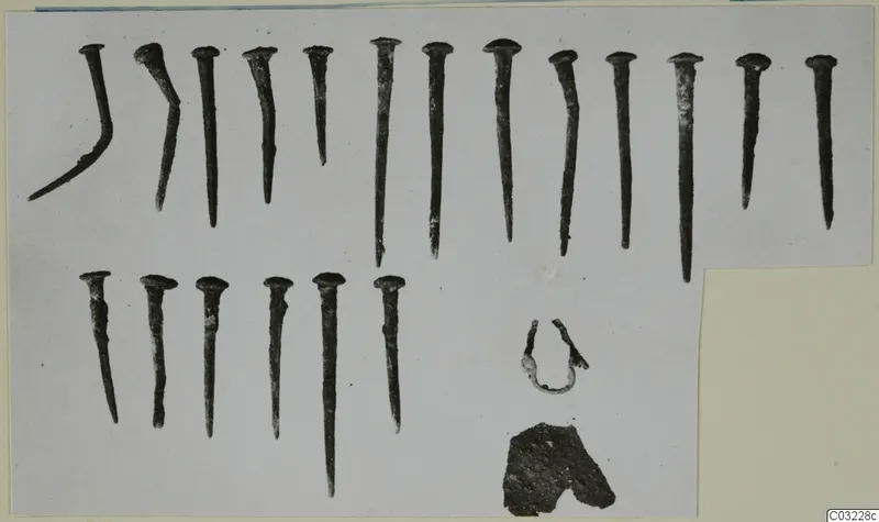 Corroded metal nails, a bent rod and small fragments laid out on a pale card