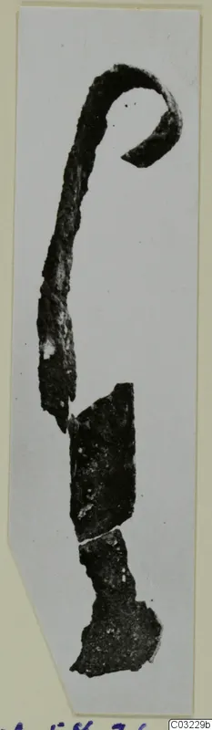 Corroded metal implement with a curled hooked end, broken into dark fragments below