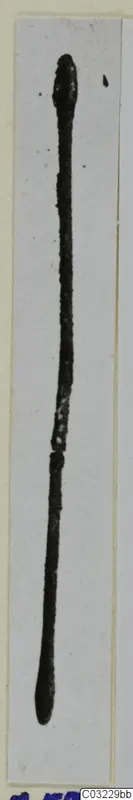 Bronze pin, long and thin, photographed upright against a pale grey background