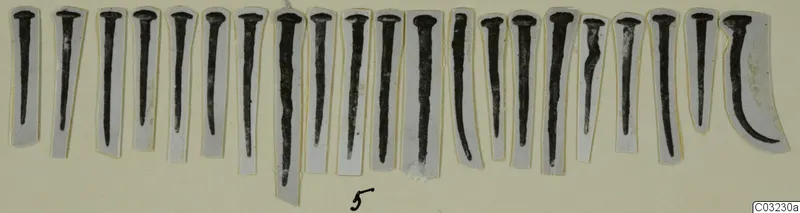 Row of about twenty dark nail-like metal objects, each mounted on a paper strip, from Marion Tomb 53