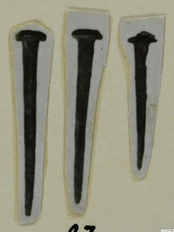 Three nails, each cut out and mounted on a white paper strip against a cream background