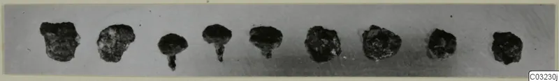 Nine heavily corroded iron objects in a row, some with thin projecting shanks, from Marion tombs 46-60
