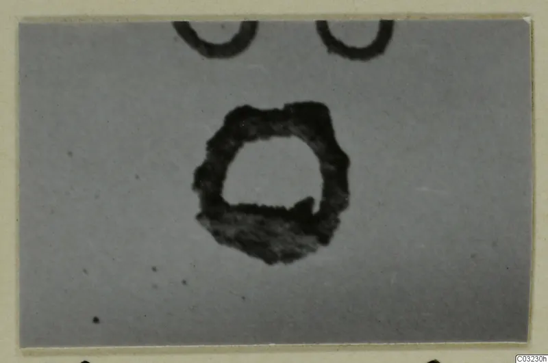Ring-shaped objects from Marion, close view on a pale ground, with rings cut off at the top edge