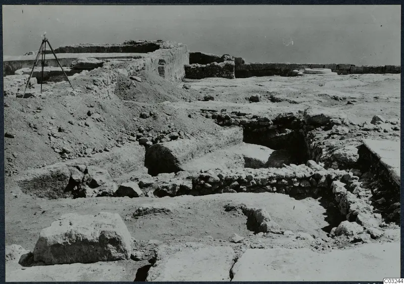 Excavated stone walls and blocks at the palace at Vouni, with a tripod standing at left.