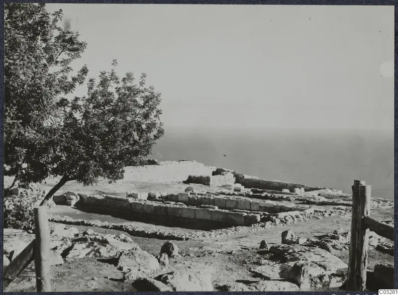 Low stone foundations of ancient walls on a hilltop at Vouni, with a tree at left and the sea beyond.