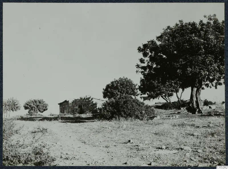 Small stone building among trees and bushes on dry ground at Vouni, with a large tree at right