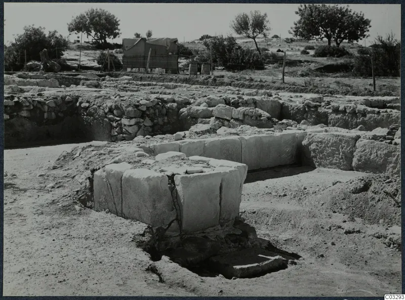 Excavated stone walls and large squared blocks at the palace at Vouni, with a canvas shelter and trees behind
