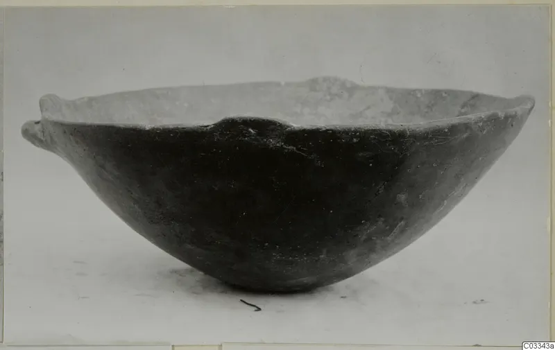 Dark polished bowl with two small handles on the rim, photographed in side view on a pale background
