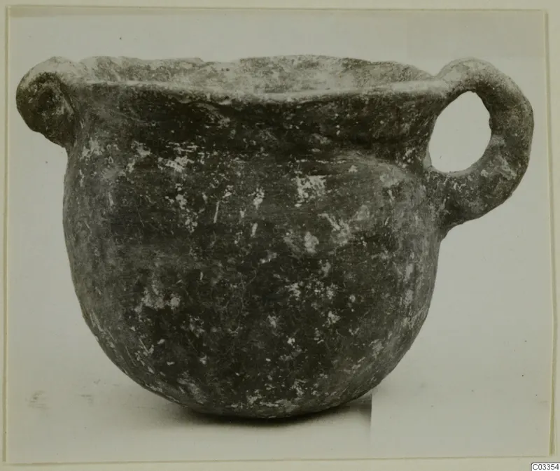 Round-bodied pottery vessel with a wide mouth and two handles, dark surface with pale flecks.