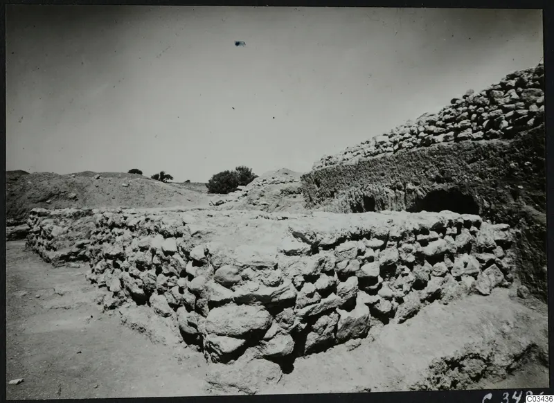 Stone wall at the Ayia Irini temenos, with excavated earth and a shrub in the background