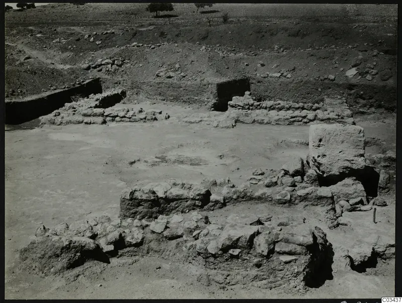Excavation at Ayia Irini with low stone wall foundations on a levelled surface, a large squared block at right, and trees on the skyline