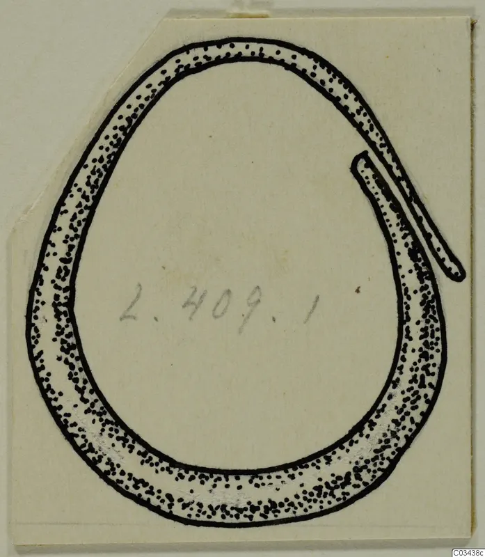 Ink drawing of a gold ring with one tapered end overlapping the hoop, from Lapithos