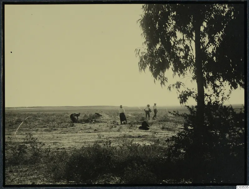 Excavation site at Stylli: four people on open, scrubby ground beside a large tree at the right edge.
