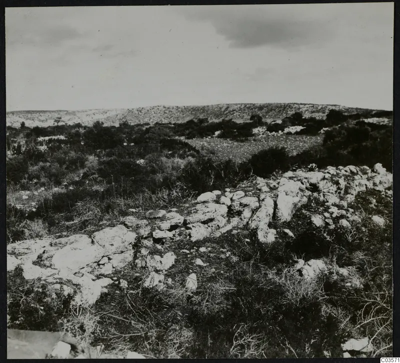 Rocky hillside with scrub and stone outcrops in the Karpas, Nitovikla, with low stone rubble in the foreground.
