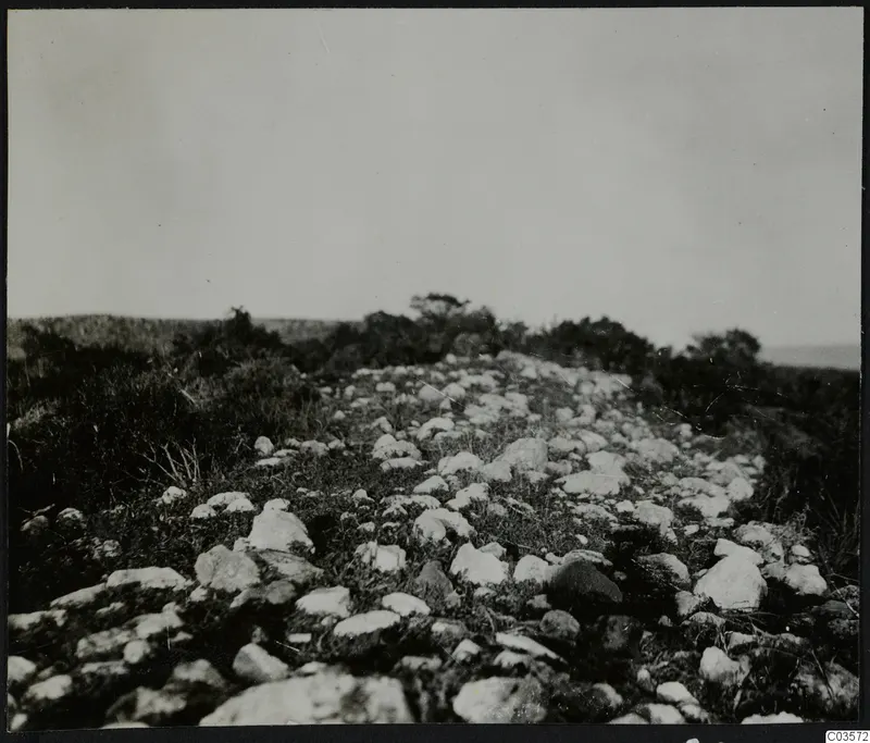 Stones and scrub on a ridge at Nitovikla on the Karpas Peninsula, with trees and low hills behind