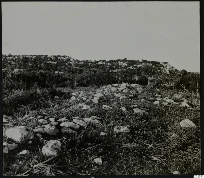 Rocky hillside covered in scrub and scattered limestone stones at Nitovikla on the Karpas Peninsula.