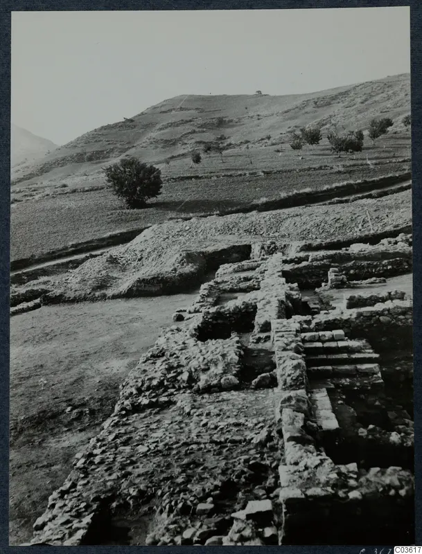 Excavated stone walls and a flight of steps at Soli, with terraced hillside and trees behind