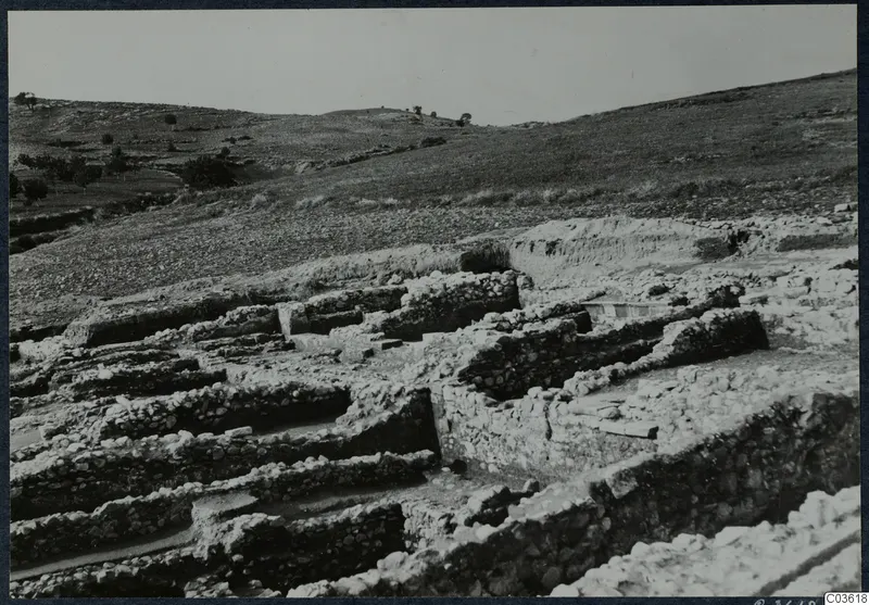 Excavated stone walls and foundations at Soli, Cholades, with a grassy hillside and trees behind.
