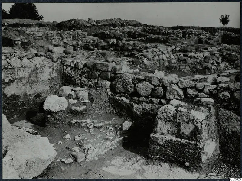 Excavated stone walls and foundations at Cholades, Soli, with a small tree on the right under a pale sky