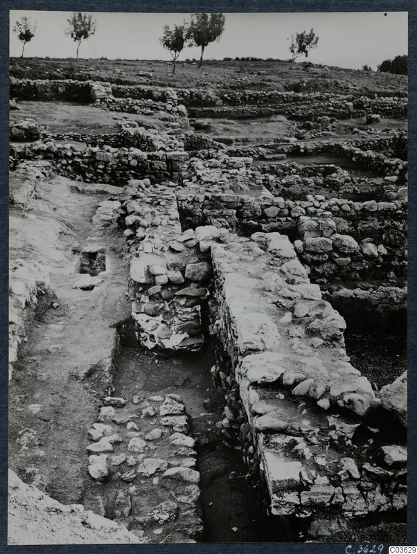 Excavated stone walls at Soli, stepped across a slope, with a paved lane and small trees on the ridge above