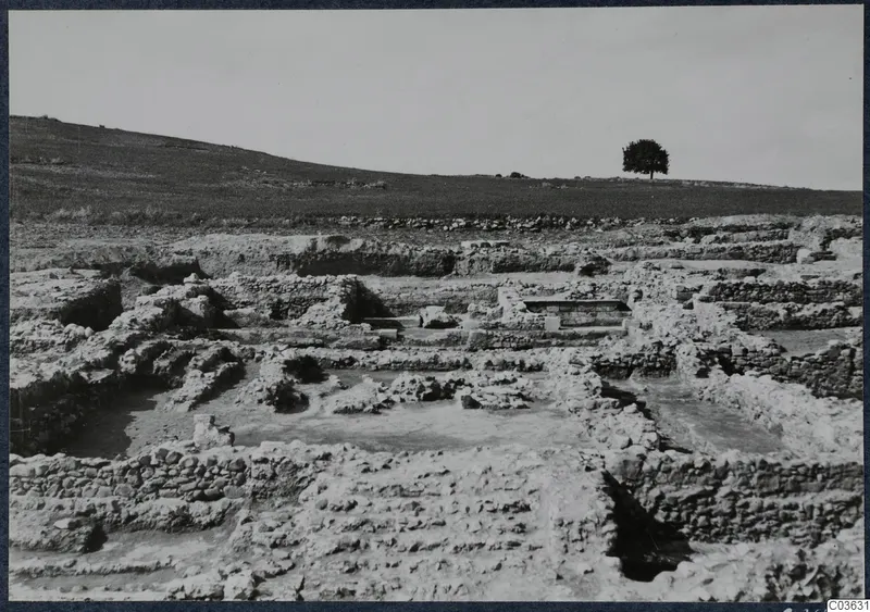 Excavated stone walls and foundations at Soli, Cholades temples, with a grassy hill and a single tree behind
