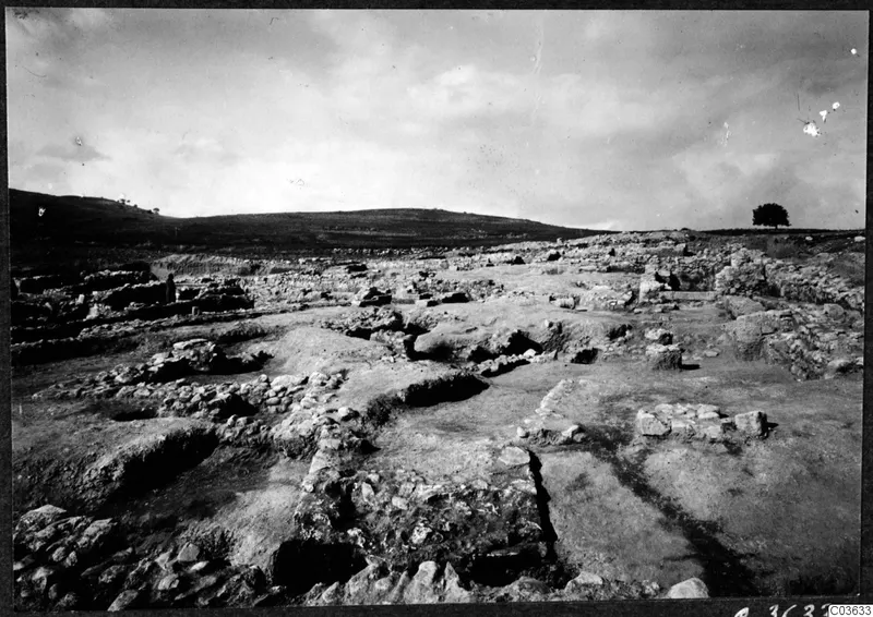 Excavated stone foundations of the Cholades temples A-B at Soli, with hills and a single tree behind the site.