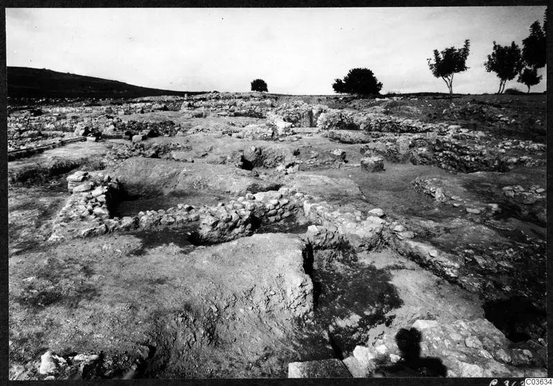Excavated stone wall foundations at the Cholades temples A-B at Soli, with trees and a hill behind