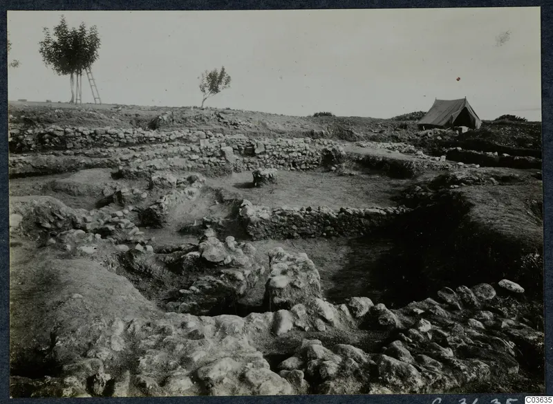 Excavated stone foundations at Soli, Cholades Temples A-B, with a tent and two trees beyond