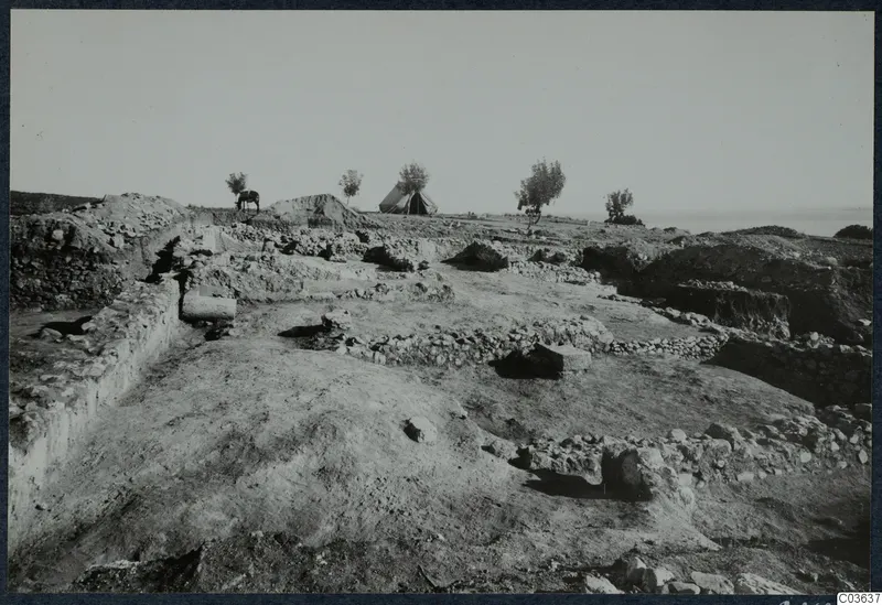 Excavated stone walls at Temple C, Cholades, with a tent, trees and an animal on the rise behind